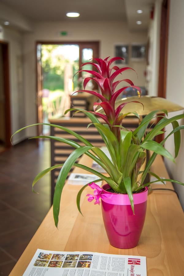Green House Hostel Beograd Bagian luar foto